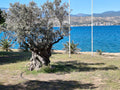 Hydra_Island_Escape